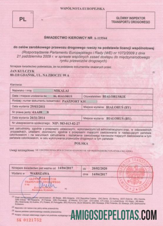 Poland Drivers Certificate amostra